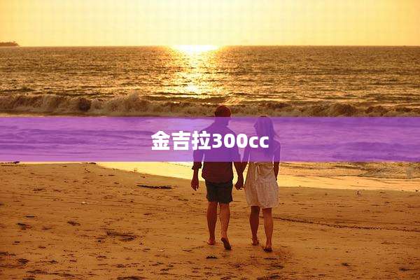 金吉拉300cc