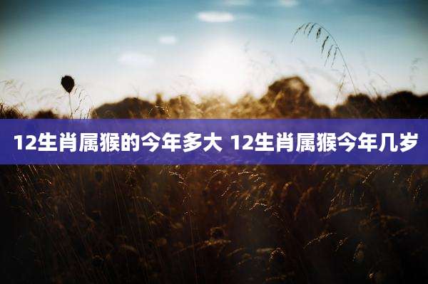 12生肖属猴的今年多大 12生肖属猴今年几岁