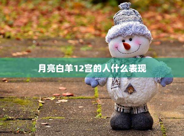 月亮白羊12宫的人什么表现
