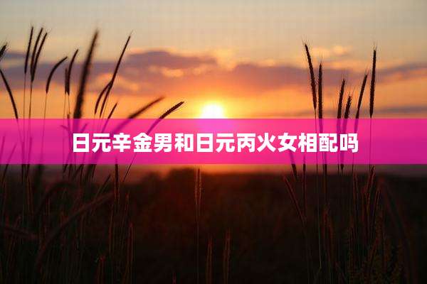 日元辛金男和日元丙火女相配吗
