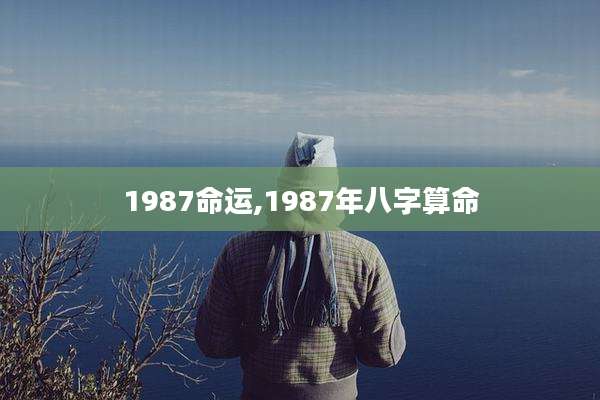 1987命运,1987年八字算命