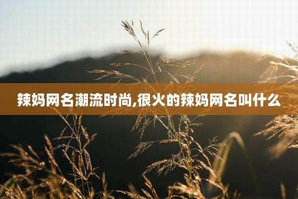 辣妈网名潮流时尚,很火的辣妈网名叫什么