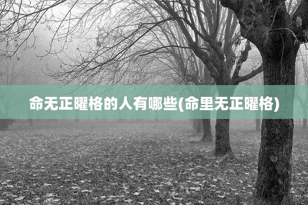 命无正曜格的人有哪些(命里无正曜格)