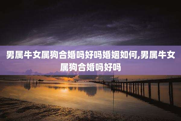 男属牛女属狗合婚吗好吗婚姻如何,男属牛女属狗合婚吗好吗