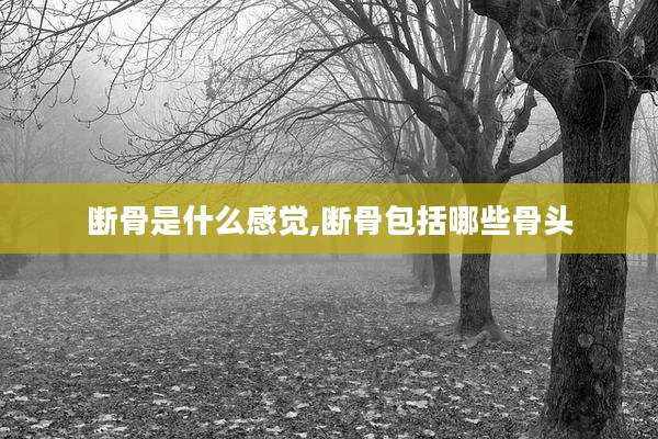 断骨是什么感觉,断骨包括哪些骨头