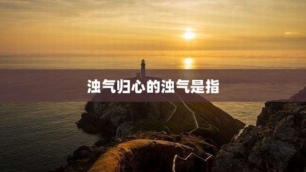 浊气归心的浊气是指