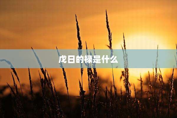 戊日的禄是什么