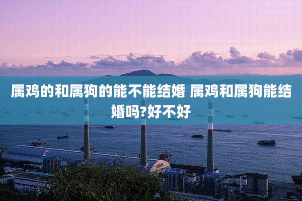 属鸡的和属狗的能不能结婚 属鸡和属狗能结婚吗?好不好