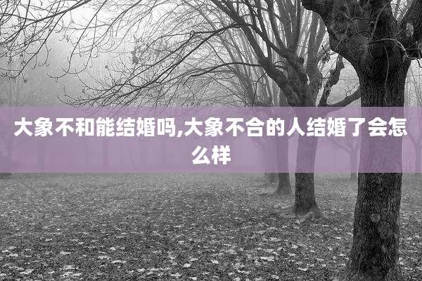 大象不和能结婚吗,大象不合的人结婚了会怎么样