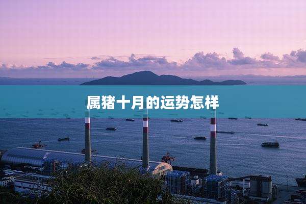 属猪十月的运势怎样