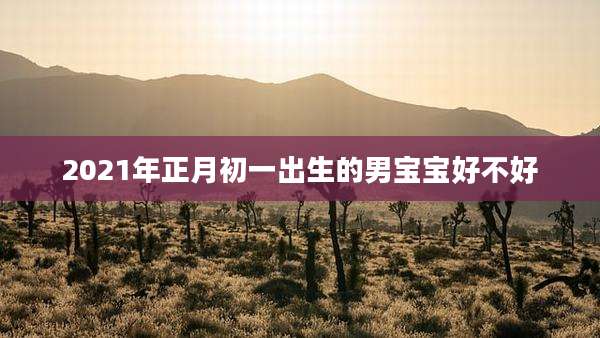 2021年正月初一出生的男宝宝好不好