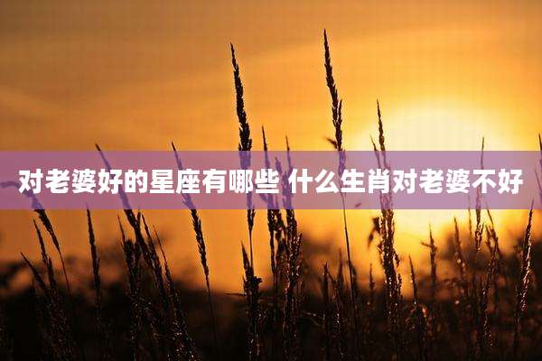 对老婆好的星座有哪些 什么生肖对老婆不好