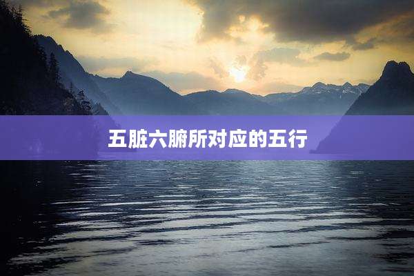 五脏六腑所对应的五行