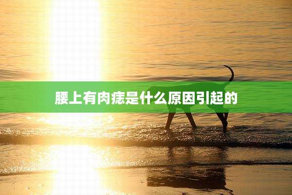 腰上有肉痣是什么原因引起的