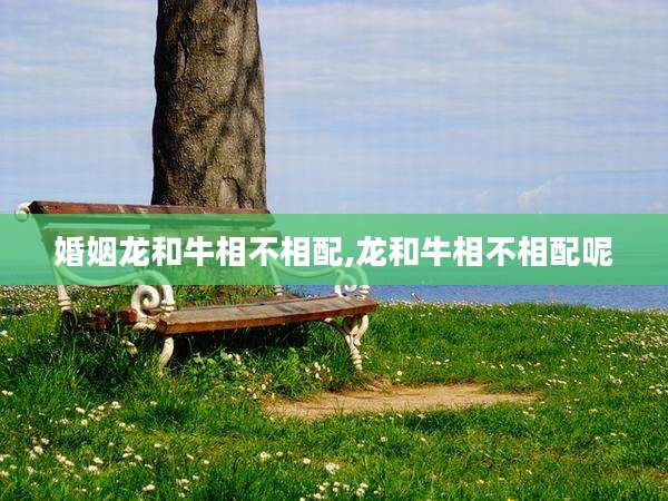 婚姻龙和牛相不相配,龙和牛相不相配呢