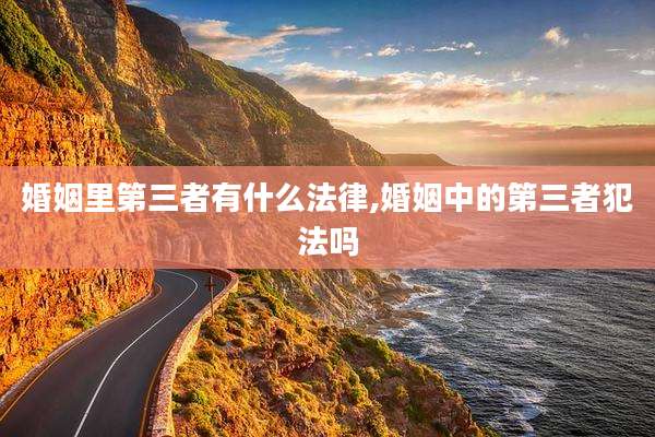 婚姻里第三者有什么法律,婚姻中的第三者犯法吗