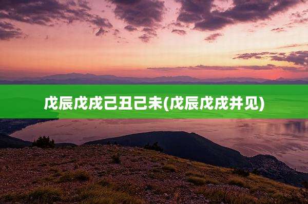 戊辰戊戌己丑己未(戊辰戊戌并见)
