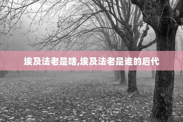 埃及法老是啥,埃及法老是谁的后代