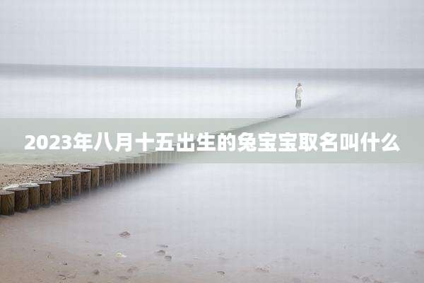 2023年八月十五出生的兔宝宝取名叫什么
