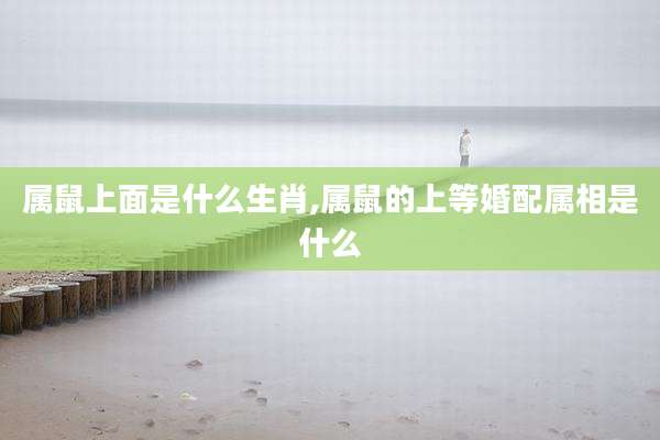 属鼠上面是什么生肖,属鼠的上等婚配属相是什么