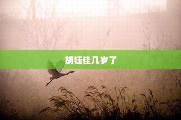 胡钰佳几岁了