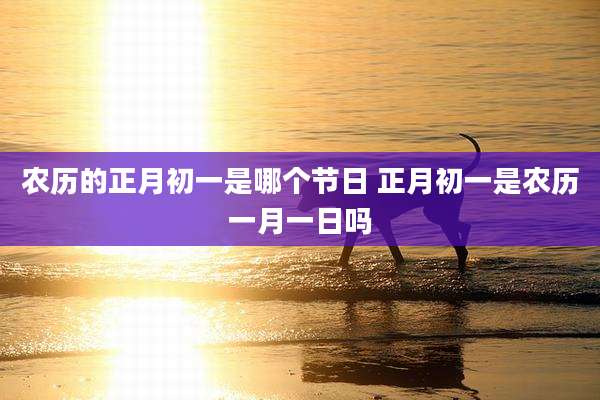 农历的正月初一是哪个节日 正月初一是农历一月一日吗