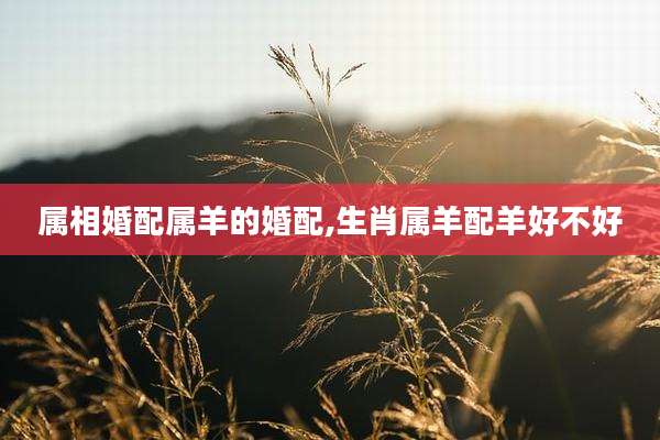 属相婚配属羊的婚配,生肖属羊配羊好不好