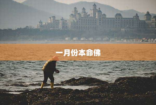 一月份本命佛