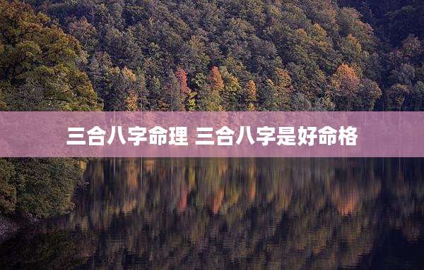 三合八字命理 三合八字是好命格