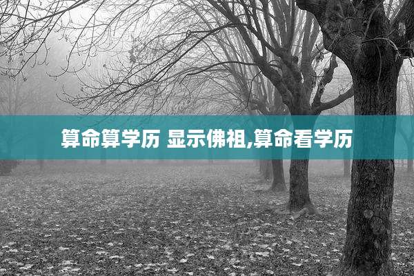 算命算学历 显示佛祖,算命看学历