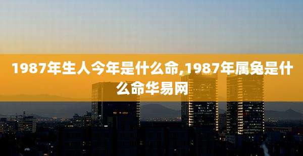 1987年生人今年是什么命,1987年属兔是什么命华易网