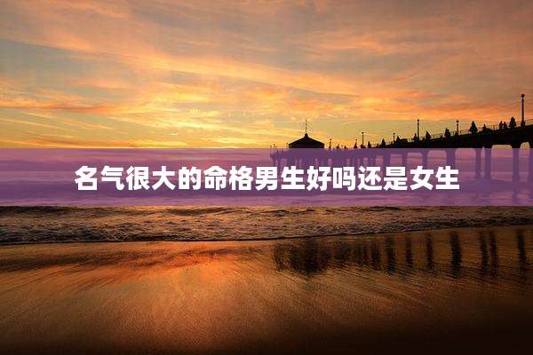 名气很大的命格男生好吗还是女生