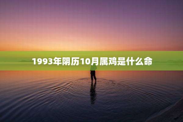 1993年阴历10月属鸡是什么命