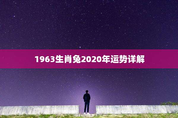 1963生肖兔2020年运势详解