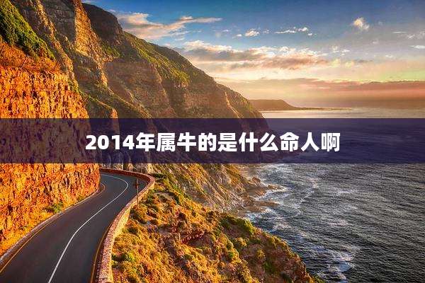 2014年属牛的是什么命人啊