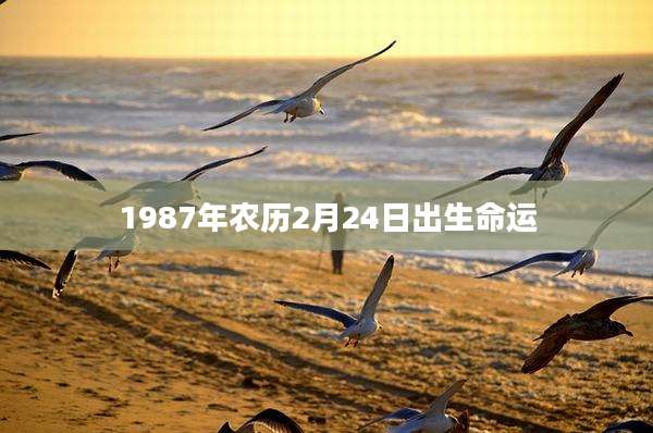 1987年农历2月24日出生命运