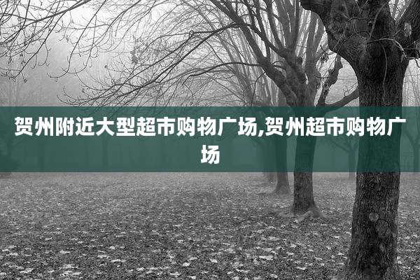贺州附近大型超市购物广场,贺州超市购物广场