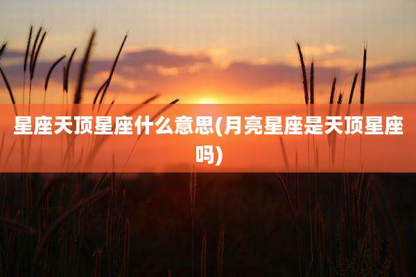 星座天顶星座什么意思(月亮星座是天顶星座吗)