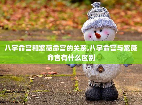 八字命宫和紫薇命宫的关系,八字命宫与紫薇命宫有什么区别