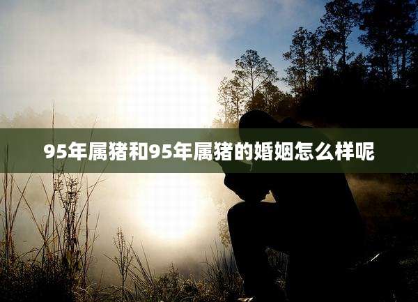 95年属猪和95年属猪的婚姻怎么样呢