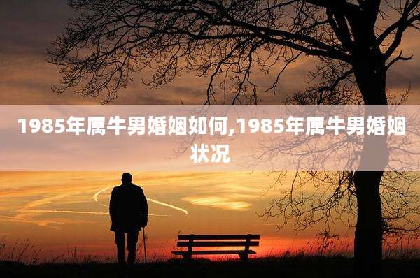 1985年属牛男婚姻如何,1985年属牛男婚姻状况