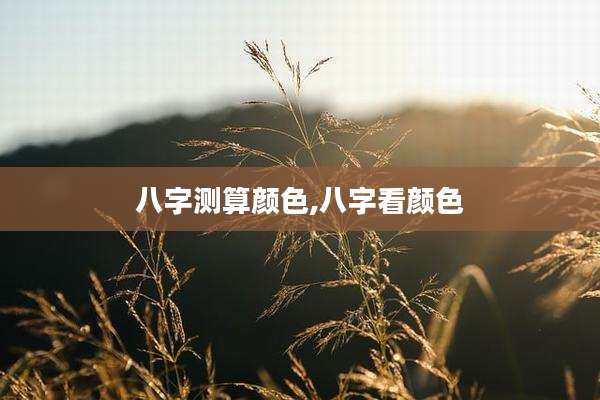 八字测算颜色,八字看颜色