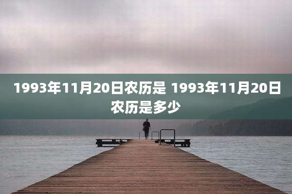 1993年11月20日农历是 1993年11月20日农历是多少