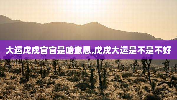大运戊戌官官是啥意思,戊戌大运是不是不好