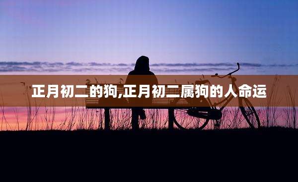 正月初二的狗,正月初二属狗的人命运