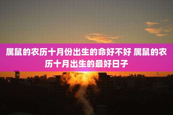 属鼠的农历十月份出生的命好不好 属鼠的农历十月出生的最好日子