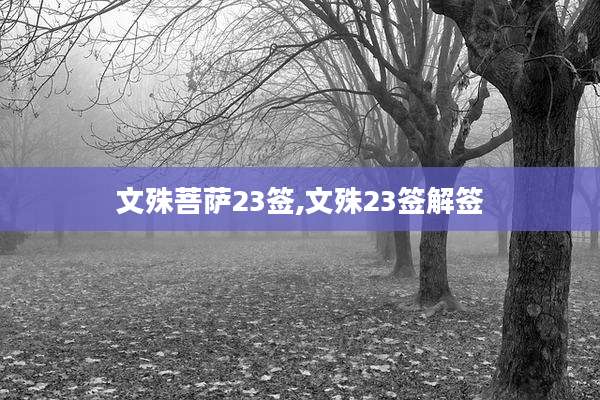 文殊菩萨23签,文殊23签解签