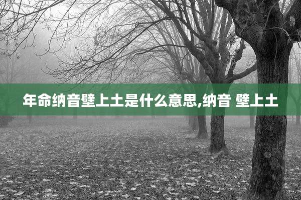 年命纳音壁上土是什么意思,纳音 壁上土