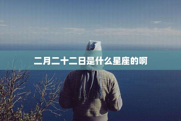 二月二十二日是什么星座的啊