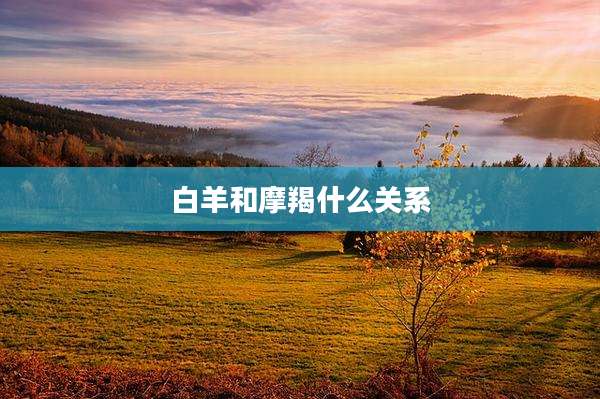 白羊和摩羯什么关系